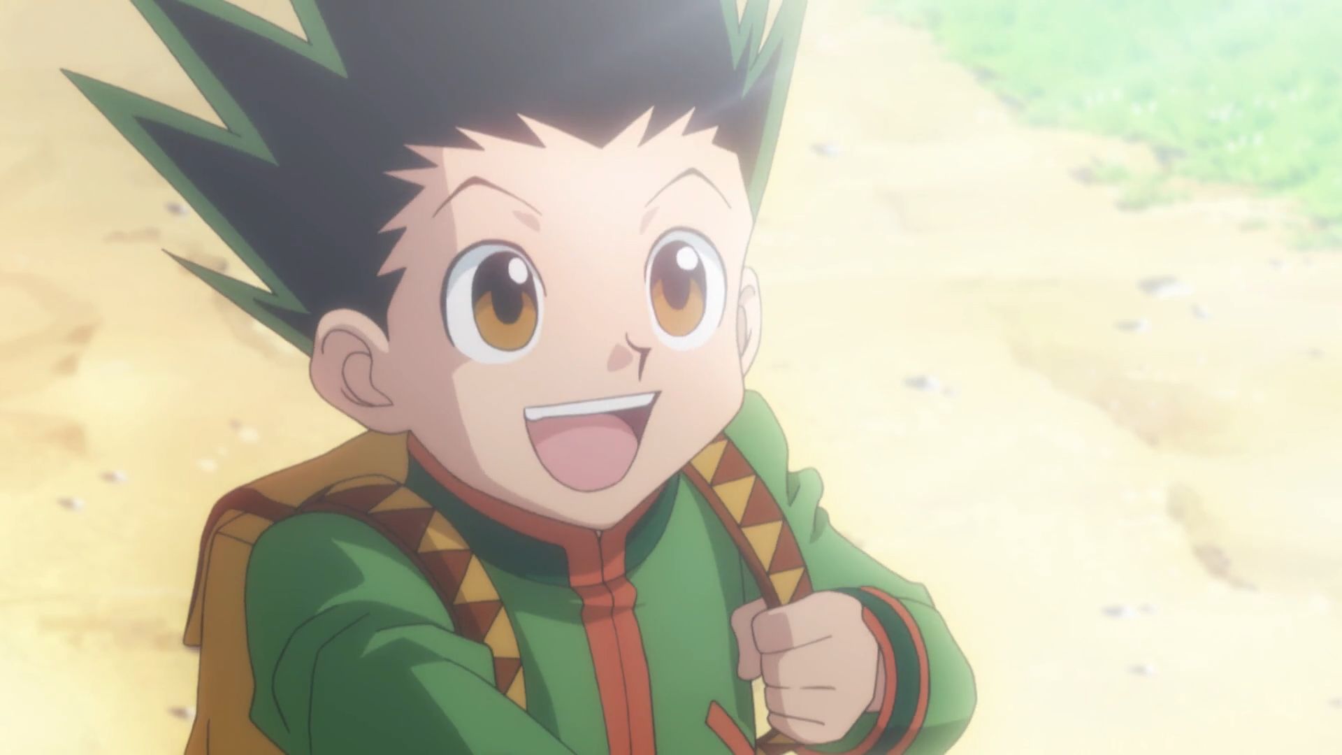 Gon Freecs from Hunter X Hunter is one of the cute anime boys.