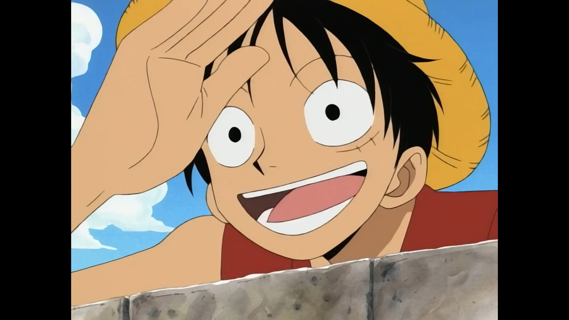 Monkey D. Luffy from One Piece is one of the cute anime boys.