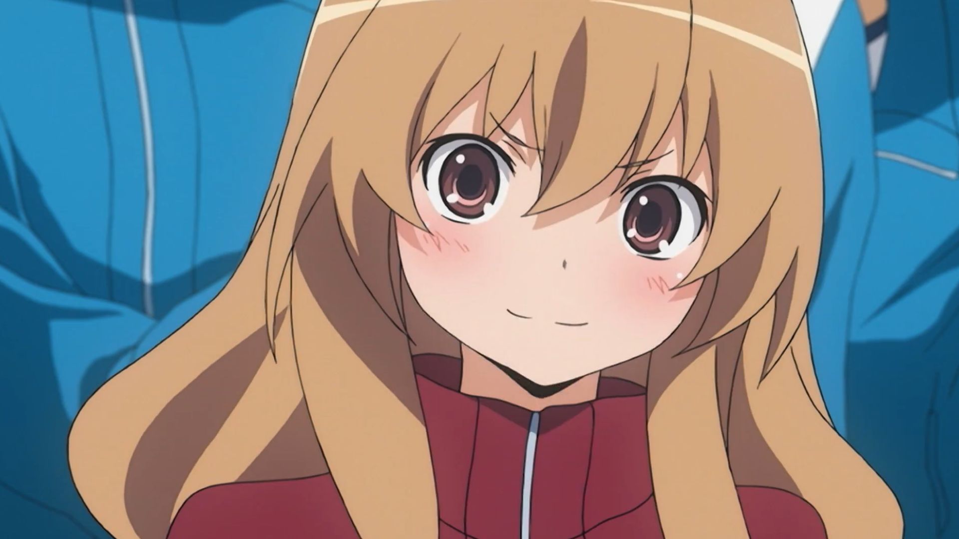 Taiga Aisaka from Toradora! is one of the cute anime girls. 